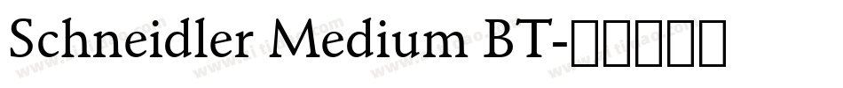 Schneidler Medium BT字体转换